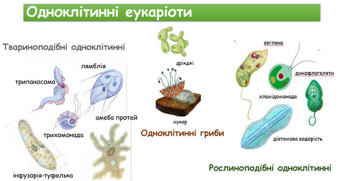 Матеріал до уроку 