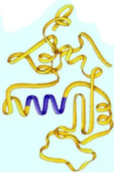 02018mvc-d63e-167x253.png