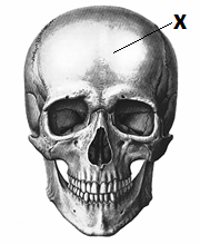 02018n0c-df13-369x448.png