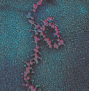 02018nur-609e-128x131.png