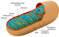 02018sd3-8338-228x145.png