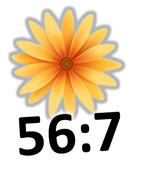 02018smm-84c6-145x176.png