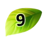 02018smz-75c8-151x140.png