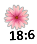02018soo-8f9c-125x149.png
