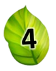 02018sp4-a2c4-82x104.png