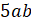 02018voy-5d3e-31x24.png