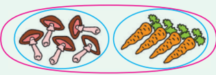 02018whs-9c91-338x118.png