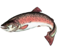 02018zqe-2f39-117x111.png