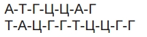 https://zno.osvita.ua/doc/images/znotest/122/12214/ansa_12214.png