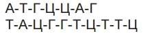 https://zno.osvita.ua/doc/images/znotest/122/12214/ansb_12214.png