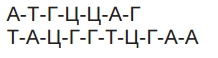 https://zno.osvita.ua/doc/images/znotest/122/12214/ansc_12214.png