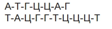 https://zno.osvita.ua/doc/images/znotest/122/12214/ansd_12214.png