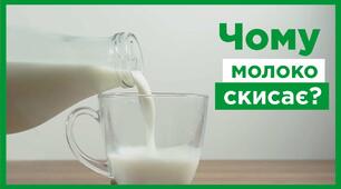 Чому скисає молоко?
