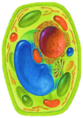 0201938t-15c0-83x118.png