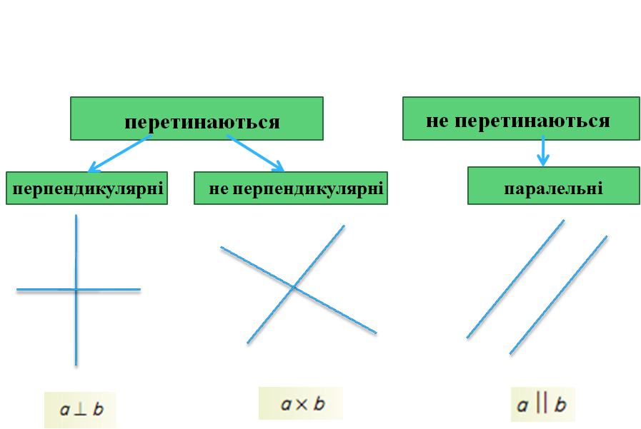 Перпендикулярні та паралельні прямі | Презентація. Математика