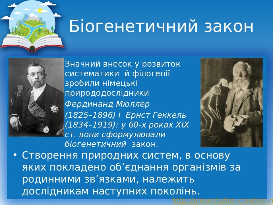 Біогенетичний закон Значний внесок у розвиток систематики й філогенії зробили німецькі природодослідники Фердинанд Мюллер (1825–1896) і Ернст Гекке...