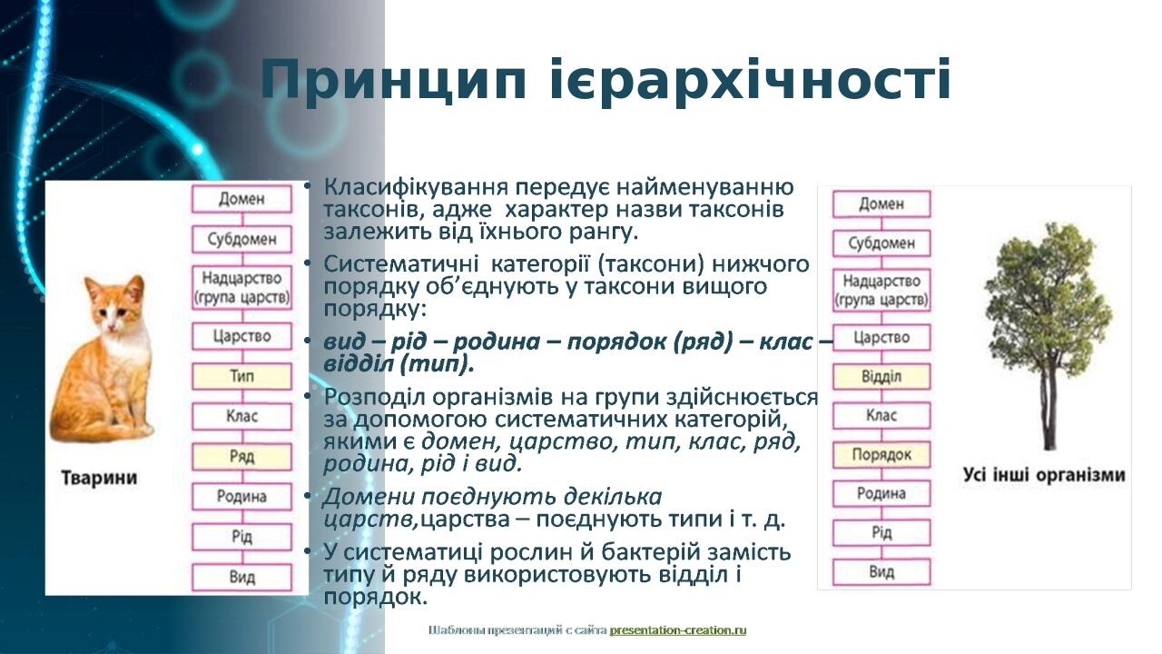 Принцип ієрархічності