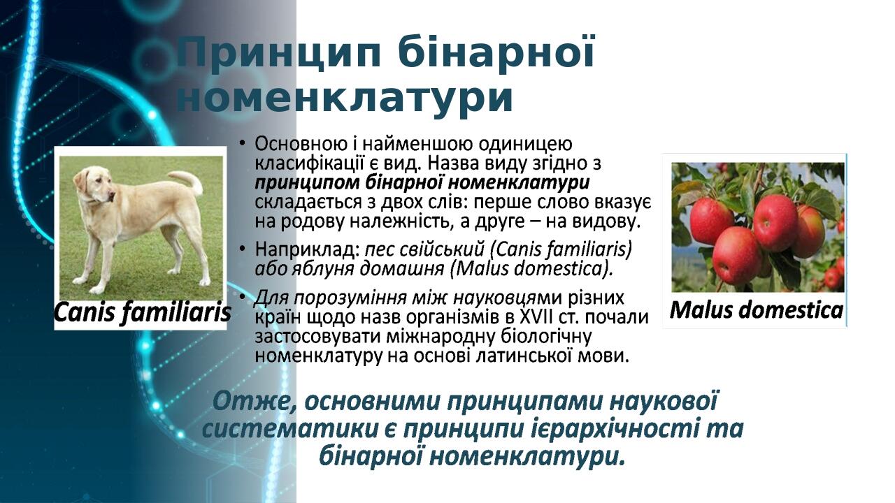 Принцип бінарної номенклатури
