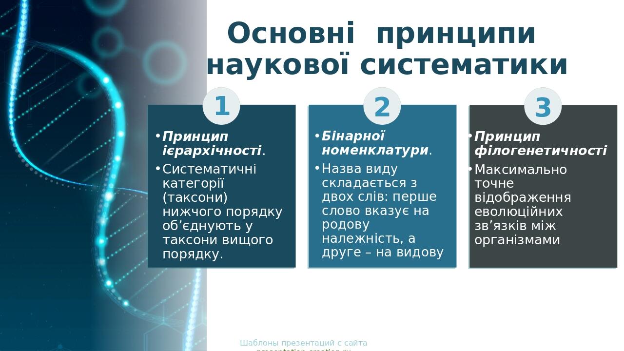 Основні принципи наукової систематики 1 Бінарної номенклатури. Назва виду складається з двох слів: перше слово вказує на родову належність, а друге...