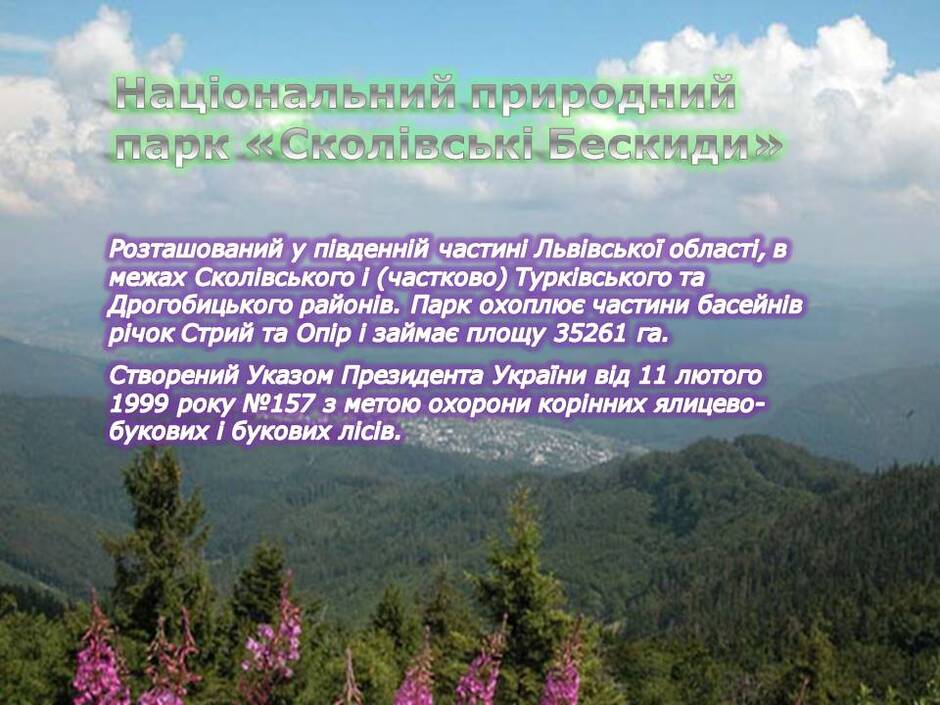 020196lh-490a-940x705.jpg