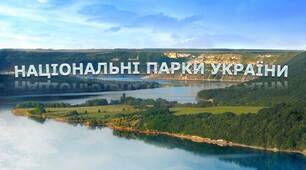 Гурток "Юні лісівники"