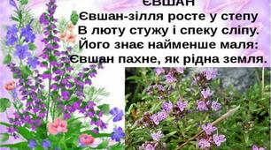 Микола Вороний "Євшан-зілля"