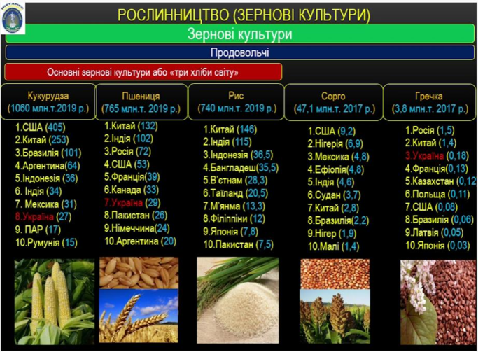 0201987c-fc23-683x503.png