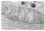 020199l0-c381-153x105.png