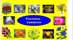 Читання мовчки (4 клас)