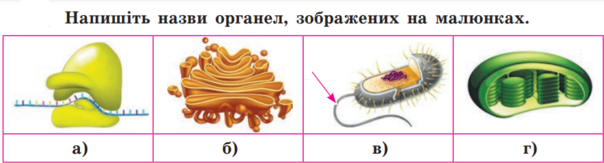 02019bdg-4d27-604x163.png