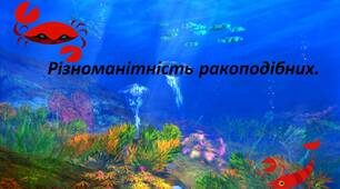Різноманітність ракоподібних