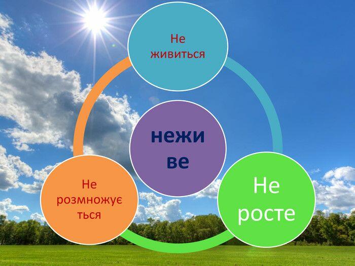 02019eoi-5e90-700x525.jpg