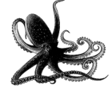 02019irk-915a-159x123.png