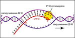 02019jkq-30c1-149x75.png