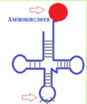 02019jkx-9f7d-87x104.png