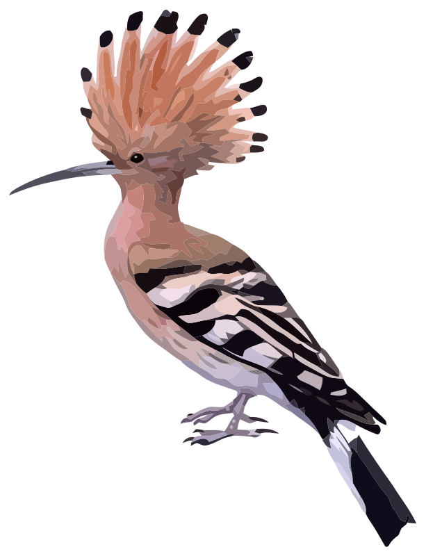 02019kag-565b-613x800.png