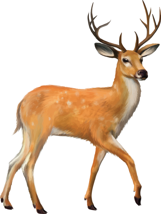 02019kar-382e-649x863.png
