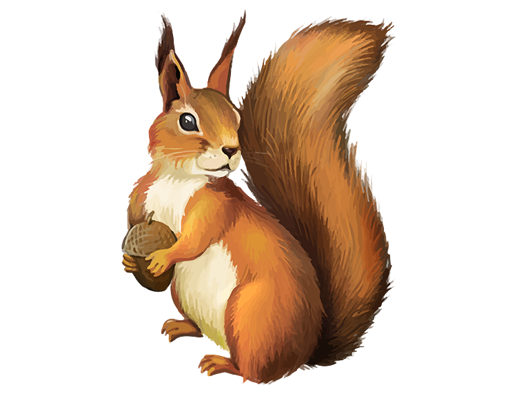 02019kbb-3b75-750x571.png