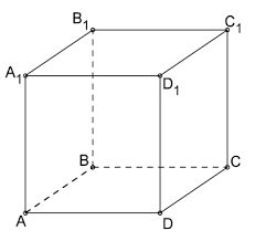 02019kby-ec00-231x218.png