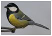 02019kqz-bdd1-104x71.png