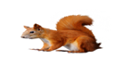 02019kr3-0724-146x73.png