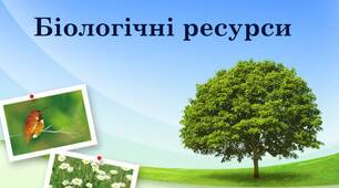 Презентація на тему "Біологічні ресурси"