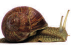 02019l8l-81f9-132x87.png