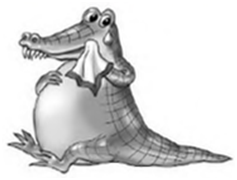 02019meg-be6e-237x180.png