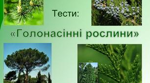 Презентація на тему "Тести. Голонасінні рослини"