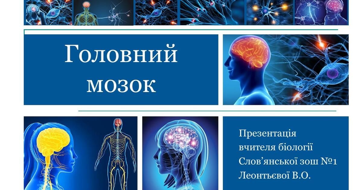 Презентація на тему "Головний мозок" | Презентація. Біологія