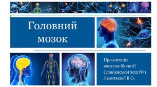 Презентація на тему "Головний мозок"