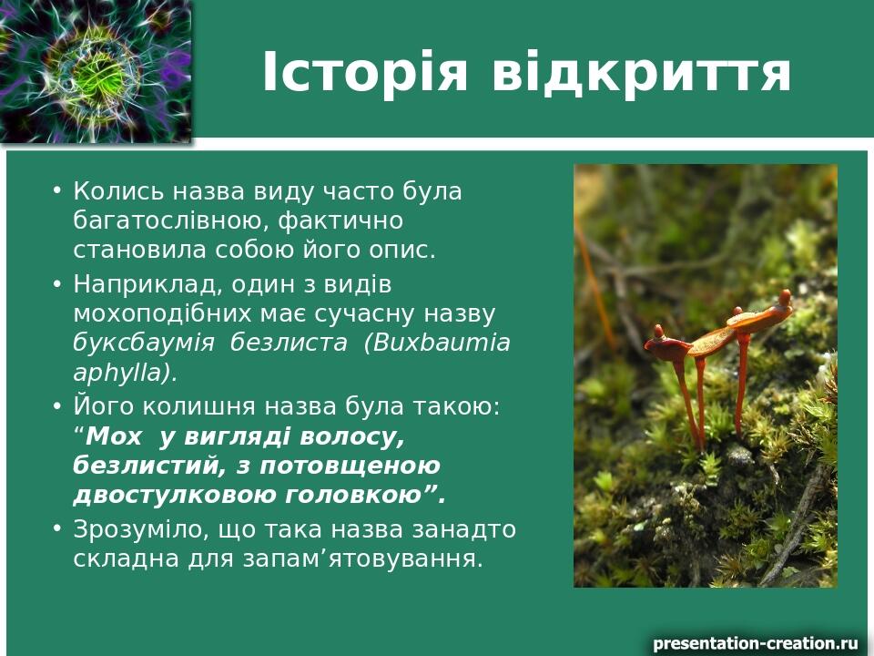 Історія відкриття Колись назва виду часто була багатослівною, фактично становила собою його опис. Наприклад, один з видів мохоподібних має сучасну ...