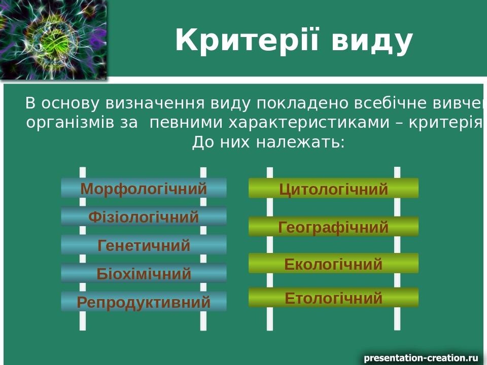 Критерії виду В основу визначення виду покладено всебічне вивчення організмів за певними характеристиками – критеріями. До них належать: Морфологіч...