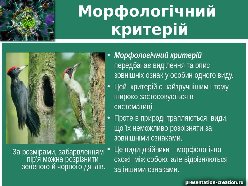 Морфологічний критерій Морфологічний критерій передбачає виділення та опис зовнішніх ознак у особин одного виду. Цей критерій є найзручнішим і тому...